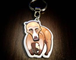 Coati