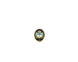 Pin bajo relieve