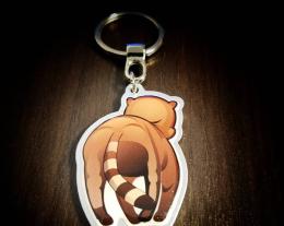 Coati