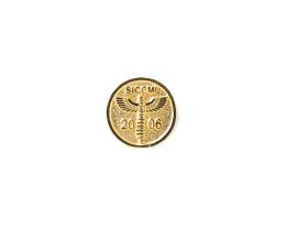 Pin bajo relieve